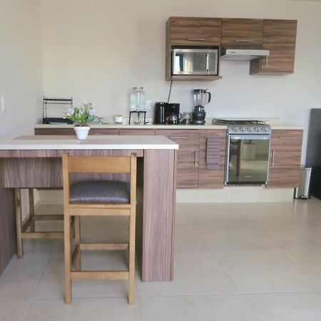 Departamento Tequis, Totalmente Nuevo En El Corazon De Slp Apartment ซานหลุยส์โปโตซิ ภายนอก รูปภาพ